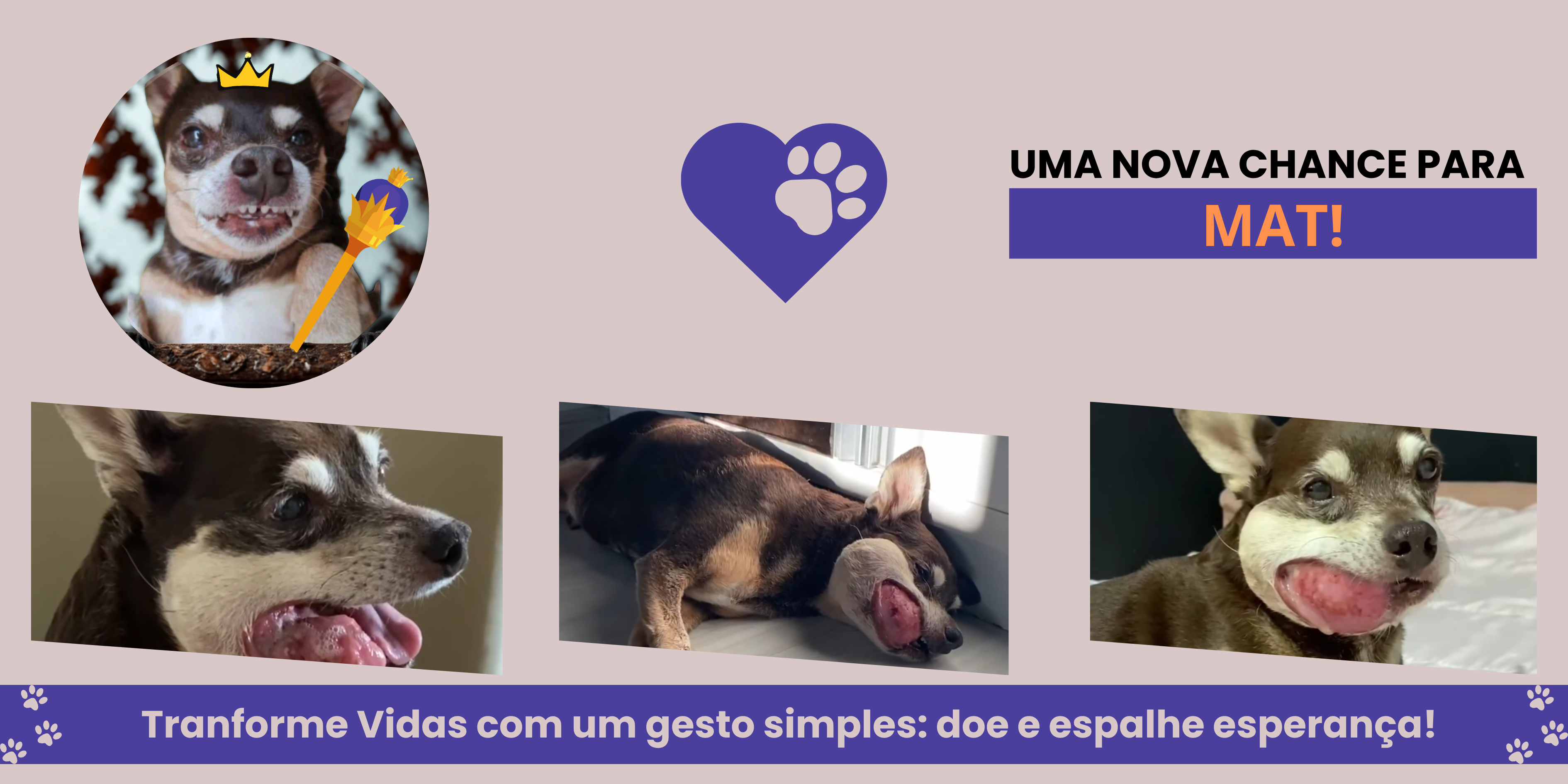 Descrição da imagem
